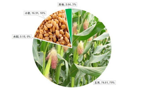 禾本科雜草（草）的識別與防治 基于中國農業大數據的洞察