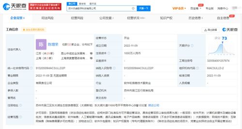 信息系統集成服務 連接、優化與賦能